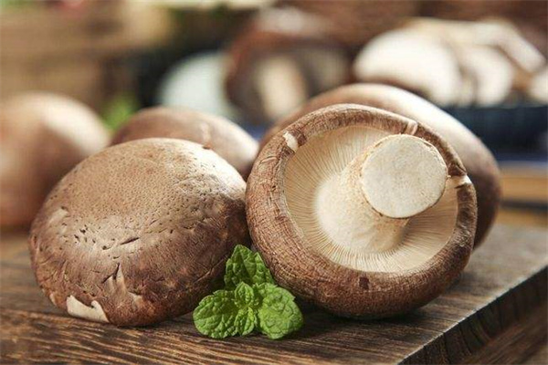 标準光源箱在香菇顔(yán)色分類(lèi)中的應用