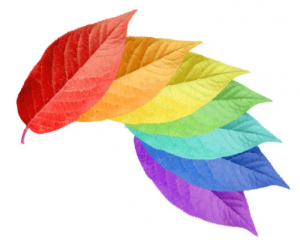 色差儀檢測顔色流程