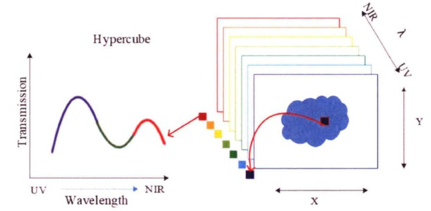 顯微高光譜成像系統的原理是什麽(me)？應用領(lǐng)域有哪些？