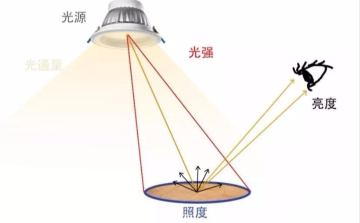 勒克斯：照度的度量單位