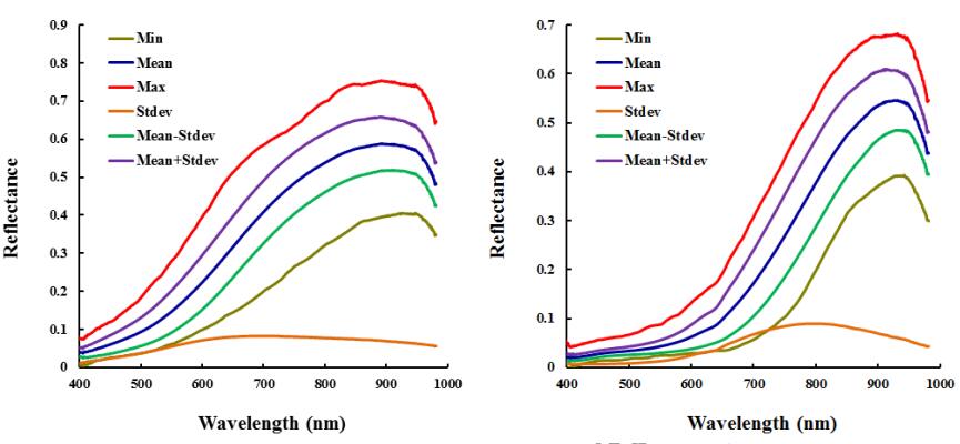 光的反射率：從基本原理到現實應用的完整解析